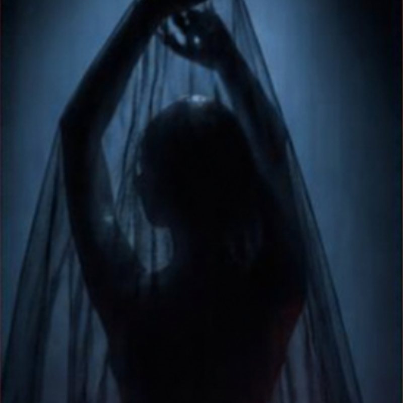 Moodboard Dark Feminine : silhouette sous un voile noir
